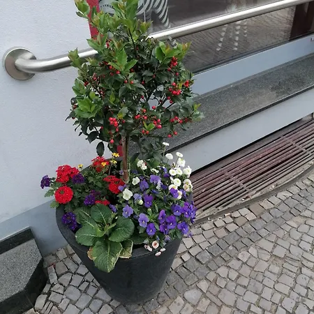 Bodetal Ξενοδοχείο Rubeland