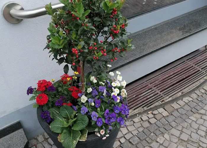 Bodetal Ξενοδοχείο Rubeland